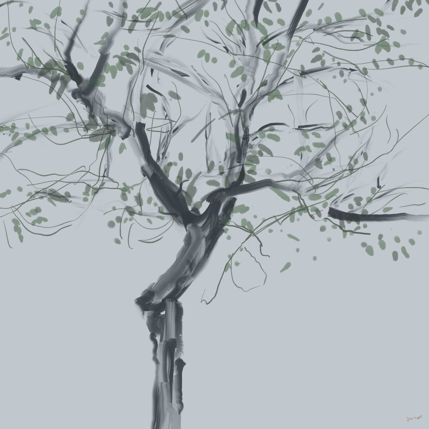 《顽皮的树影》