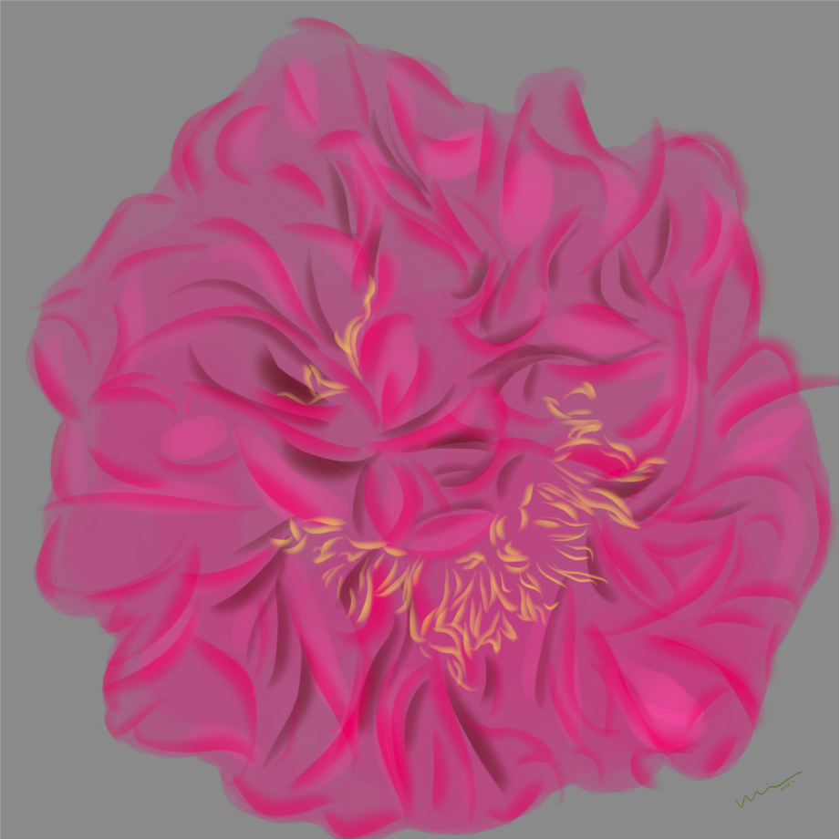 Flower Not Flower - Digital Art Print