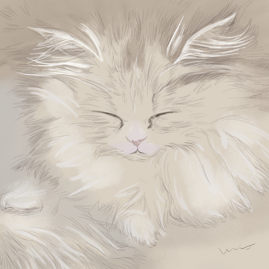 Catnap at the Window | 《眯眼小憩》 — Digital Art (176.39cm x 176.39cm, 2025)
