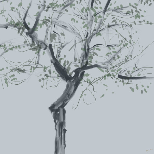 《顽皮的树影》
